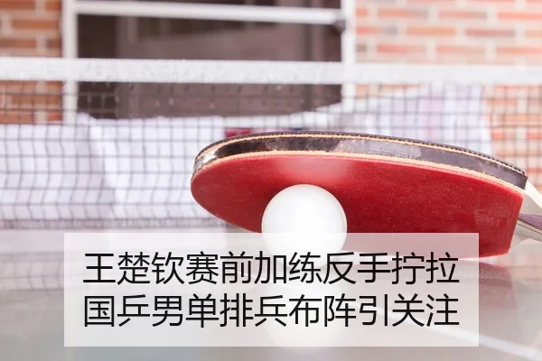 王楚钦赛前加练反手拧拉 国乒男单排兵布阵引关注