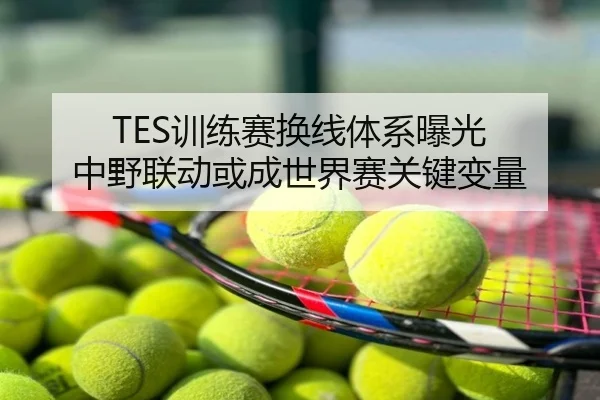 TES训练赛换线体系曝光 中野联动或成世界赛关键变量